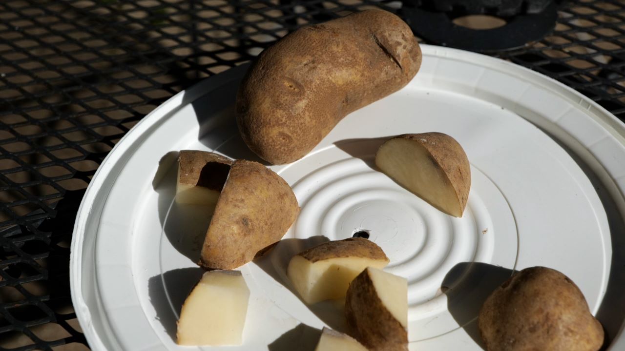 Get It Growing: It’s time to plant your Irish potatoes